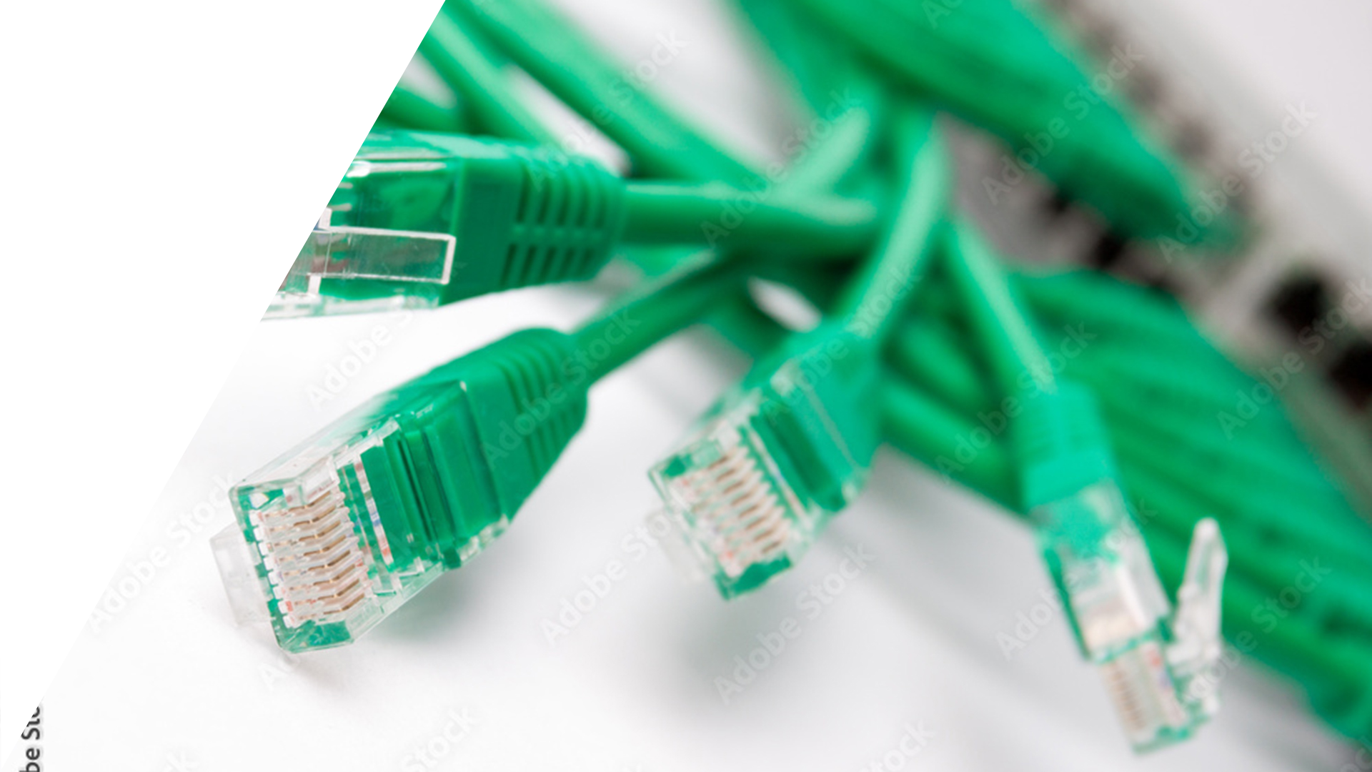 infrascructure-trap-banner